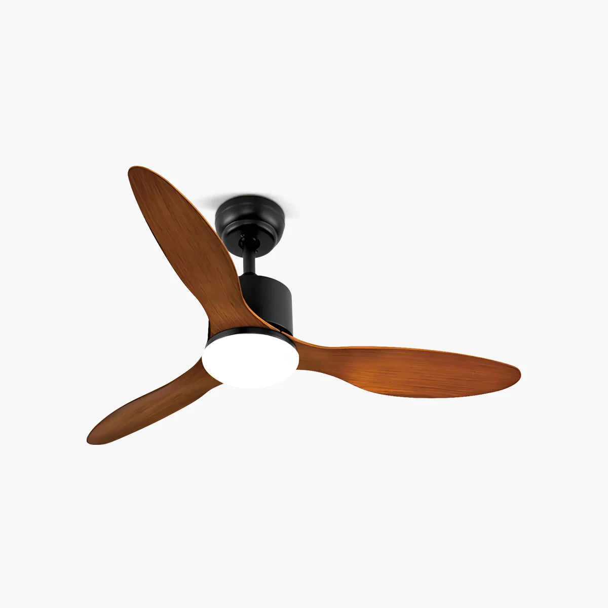 3 Blade Modern Ceiling Fan with Light
