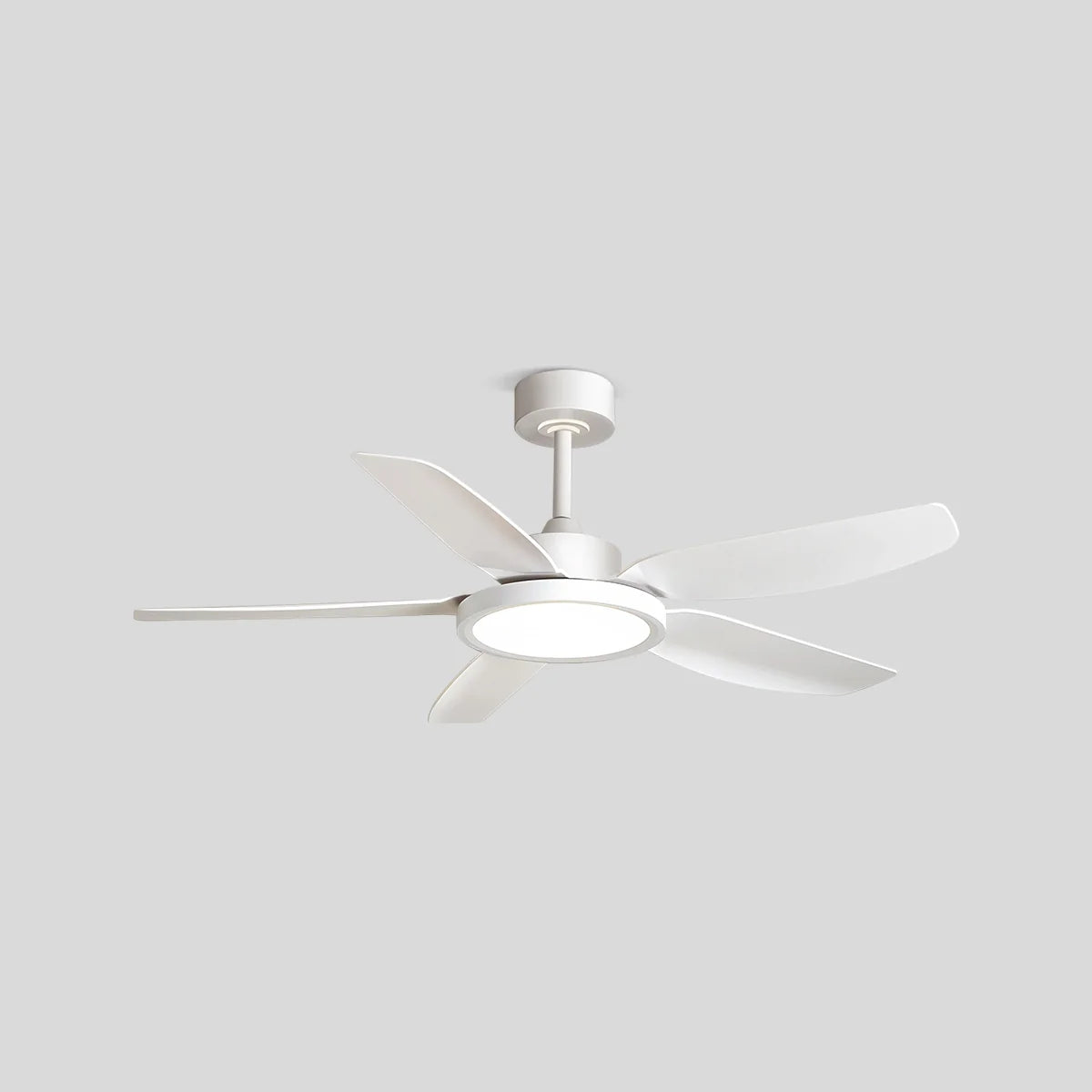 Antizer Modern White Ceiling Fans with Lights and Remote 5 Blades