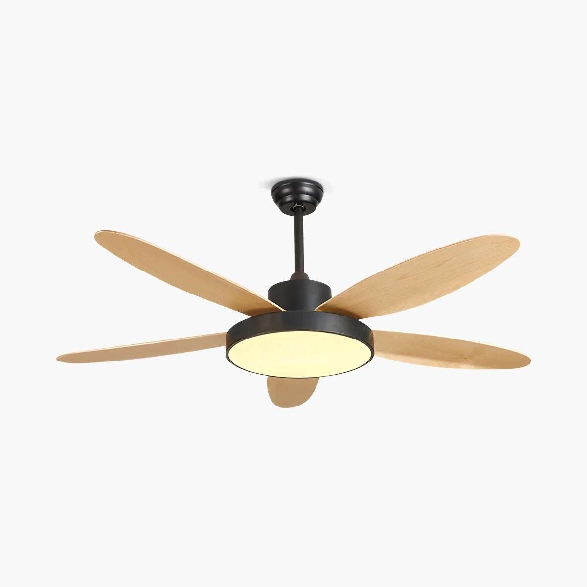 Antizer 5 Blade Modern Ceiling Fan Lamp for Living Room