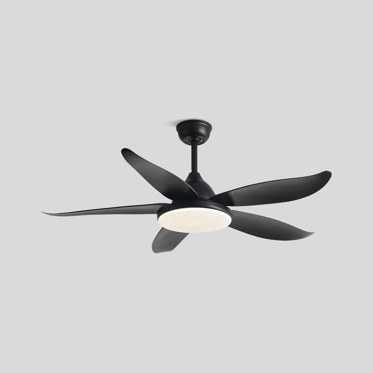 Antizer 5 Blade Contemporary Ceiling Fan Lamp Black
