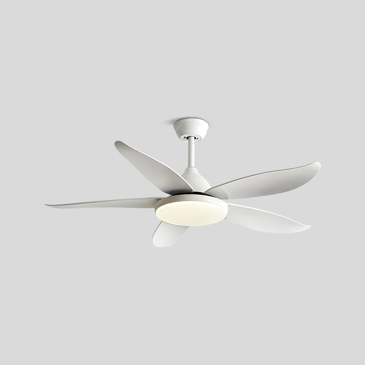 Antizer 5 Blade Contemporary Ceiling Fan Lamp White