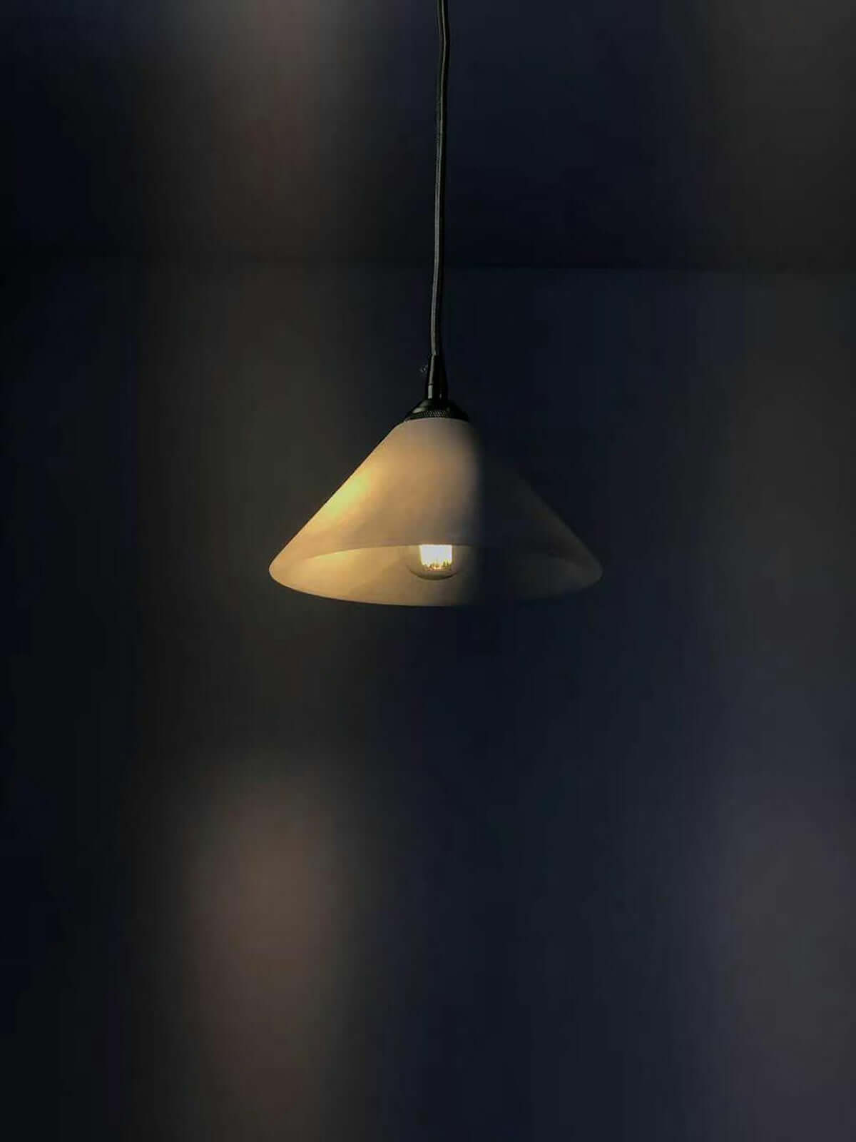 Terlon Pendant Light