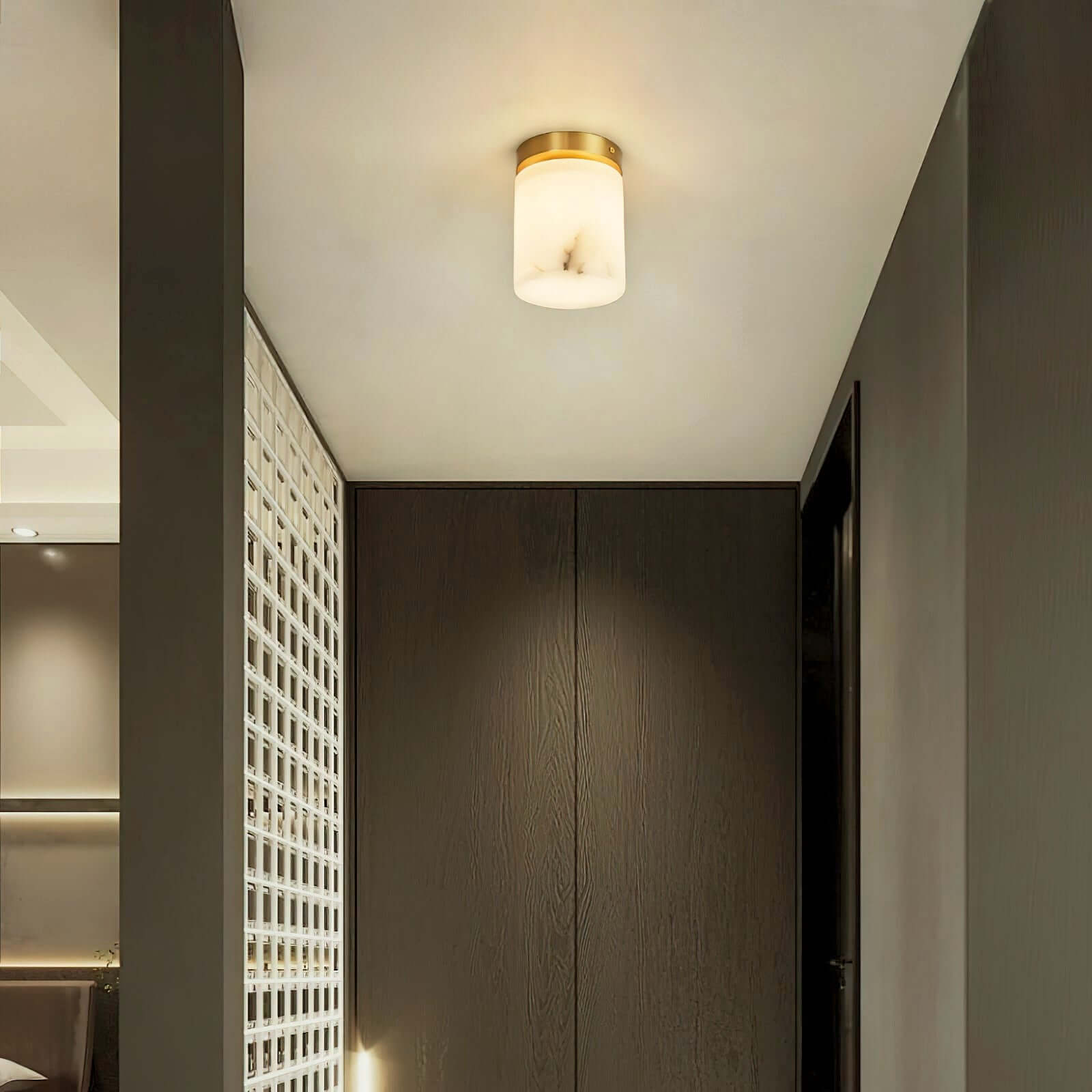Virex Ceiling Light