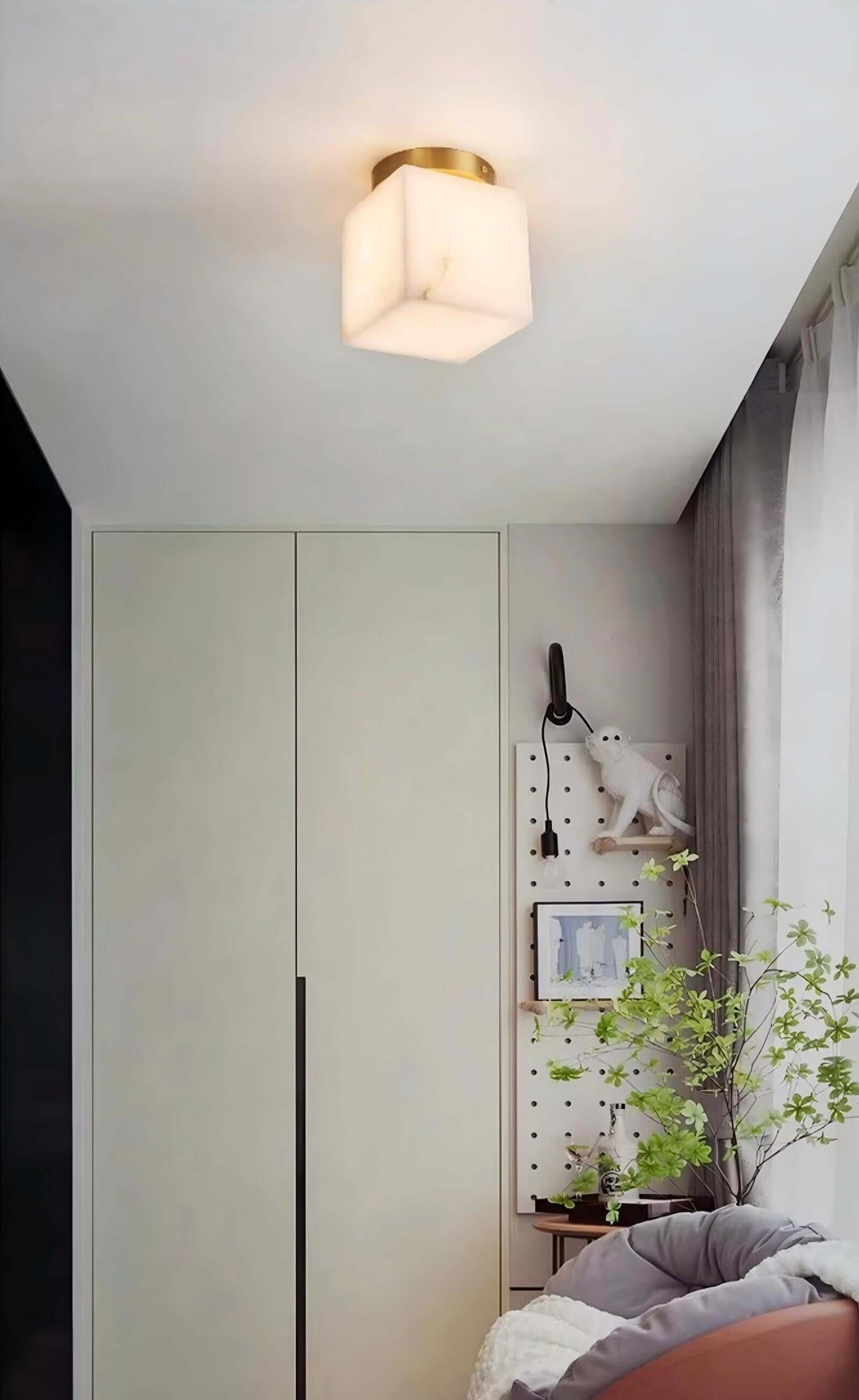 Virex Ceiling Light