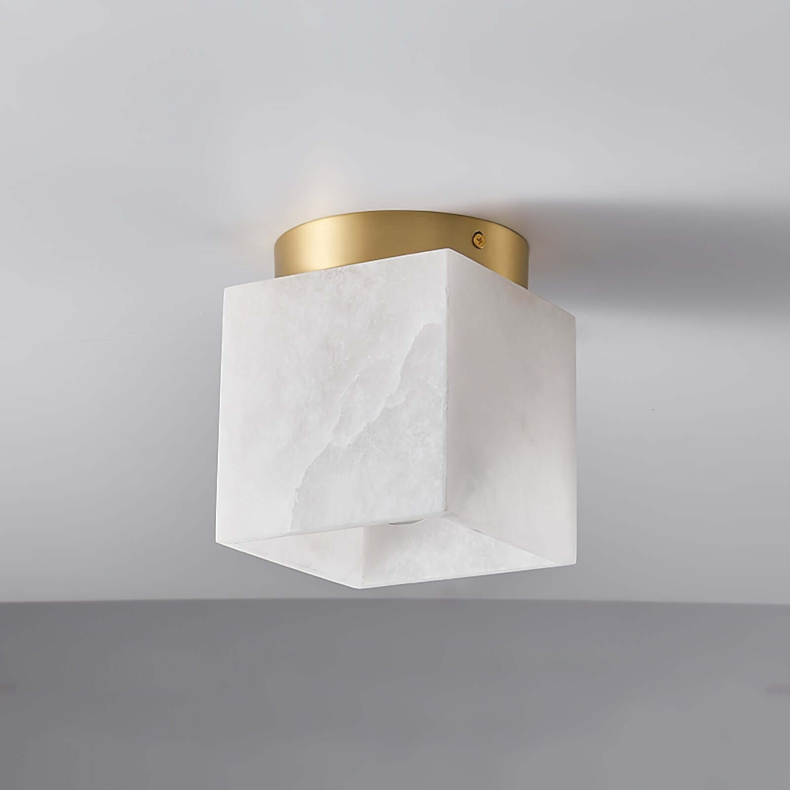 Vylora Ceiling Light