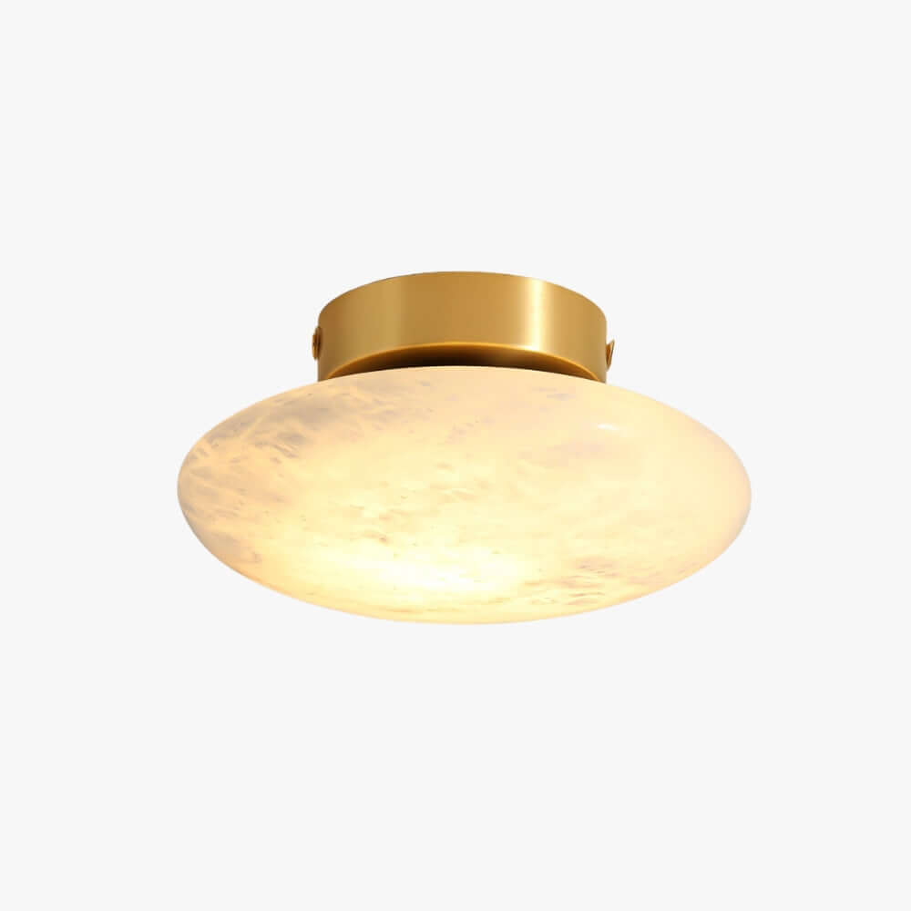 Zarion Ceiling Light