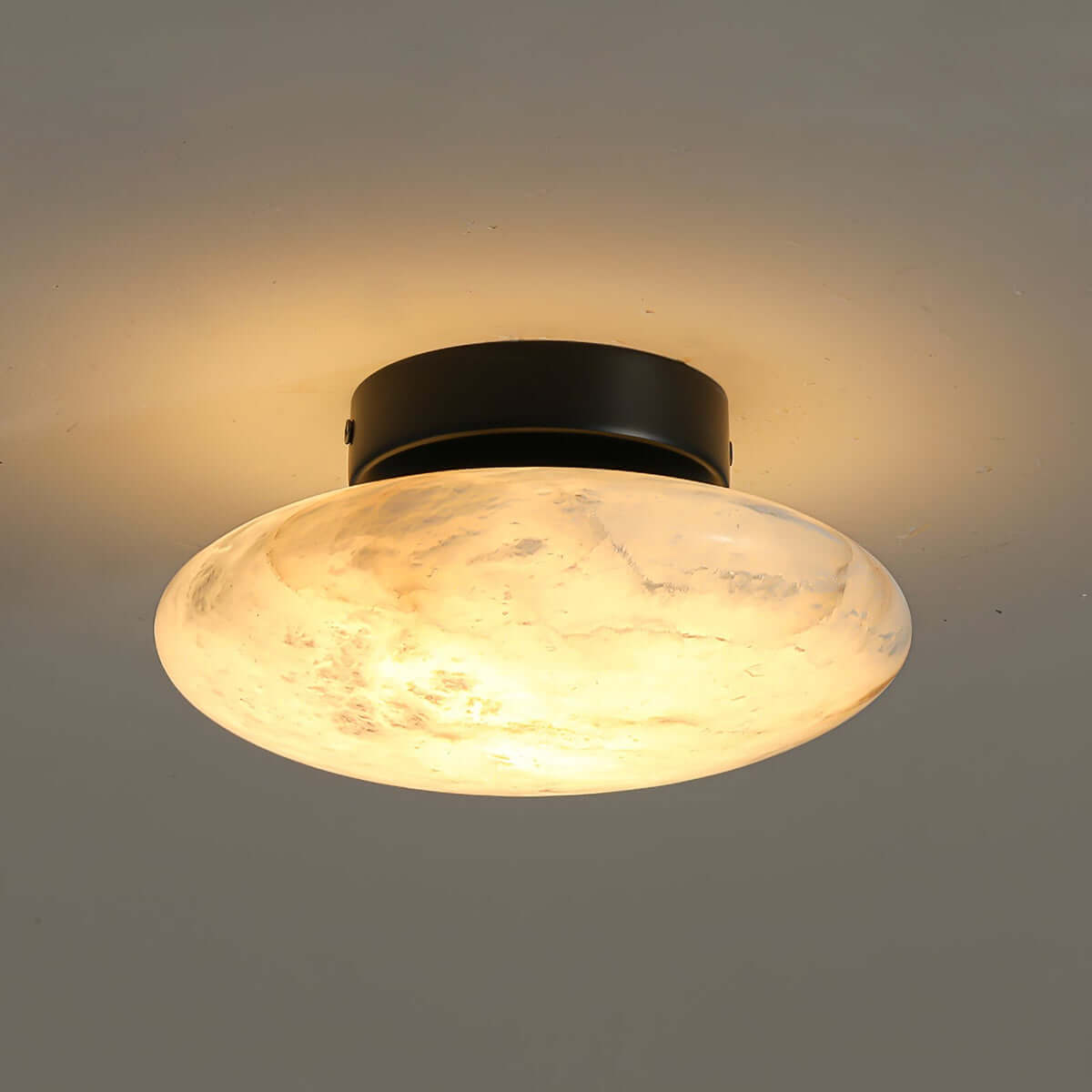 Zarion Ceiling Light