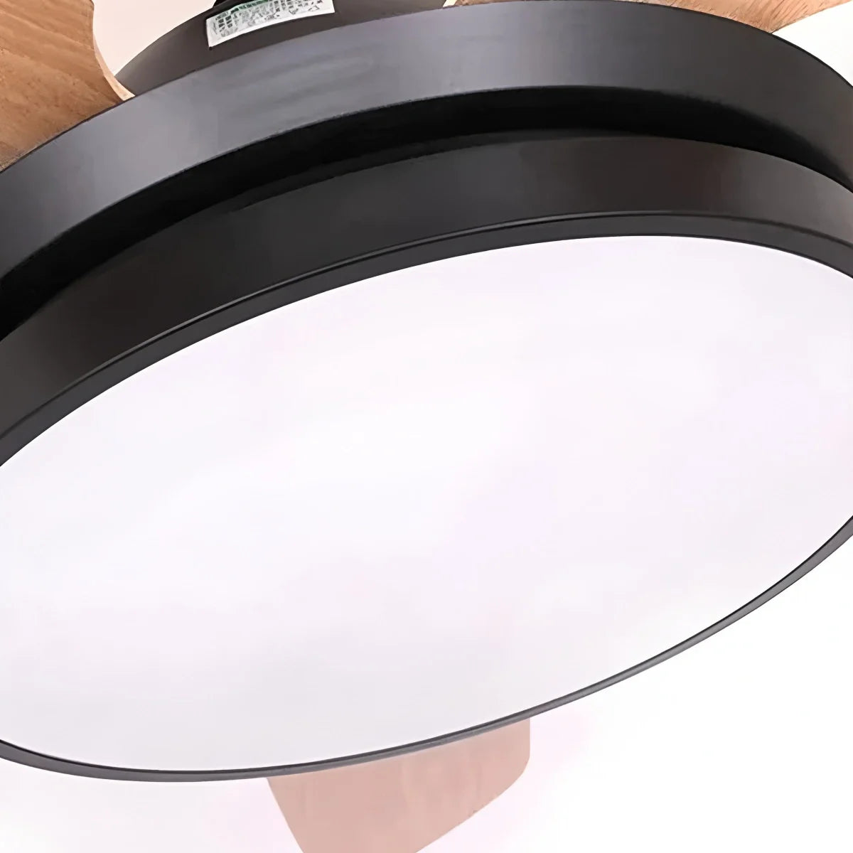 5 Blade Ceiling Fan Light for Living Room
