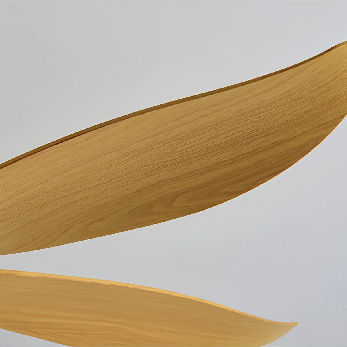 5 Blade Contemporary Ceiling Fan Lamp