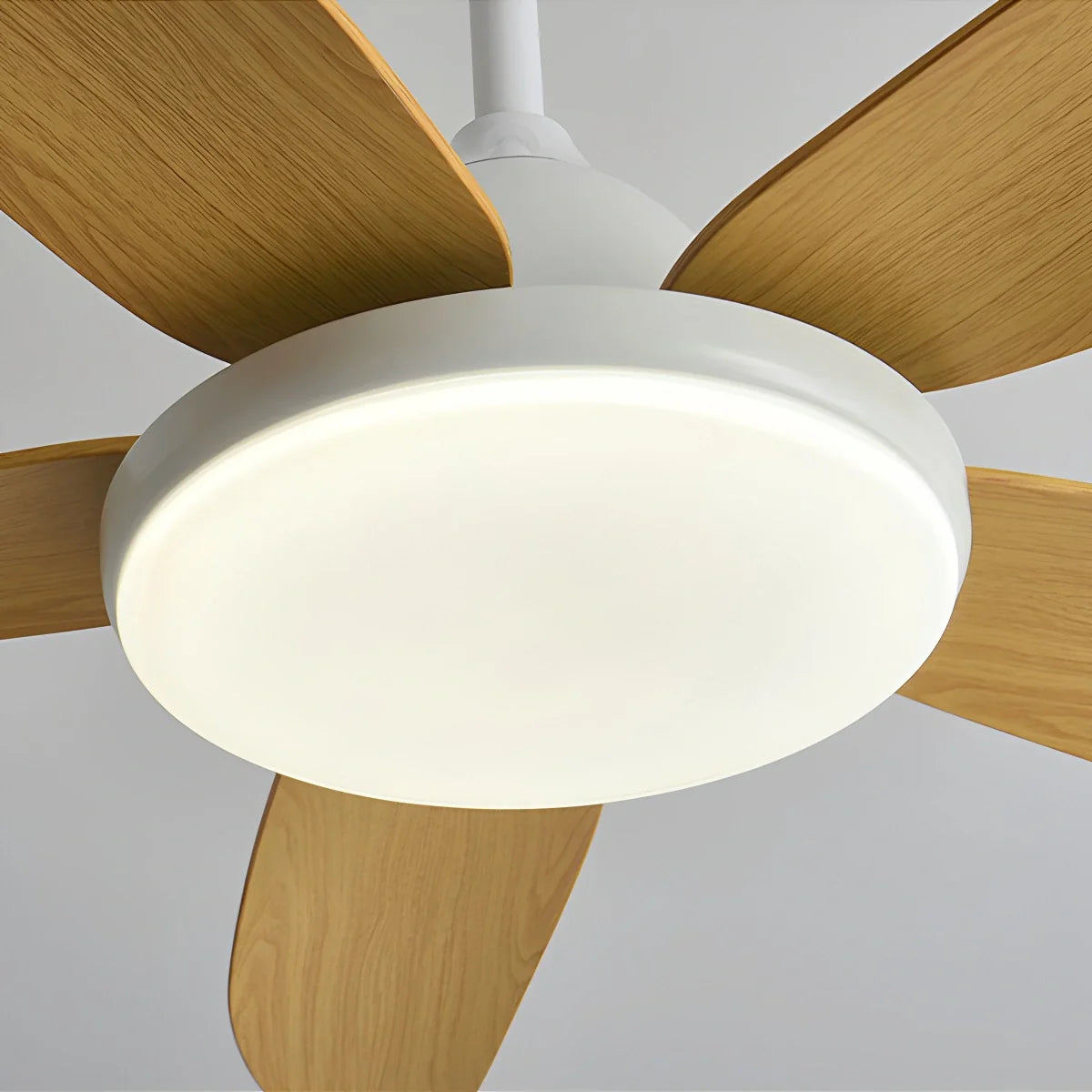 5 Blade Contemporary Ceiling Fan Lamp