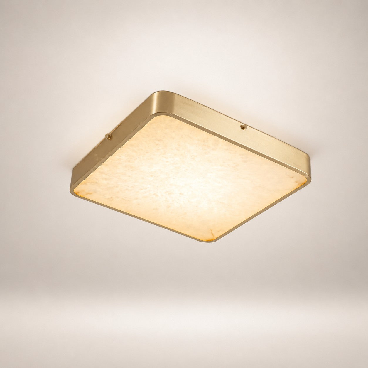Camiro Ceiling Light