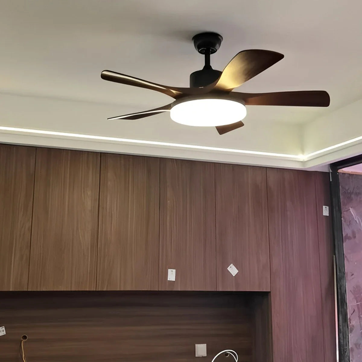 Living Room Minimalist Ceiling Fan with Light