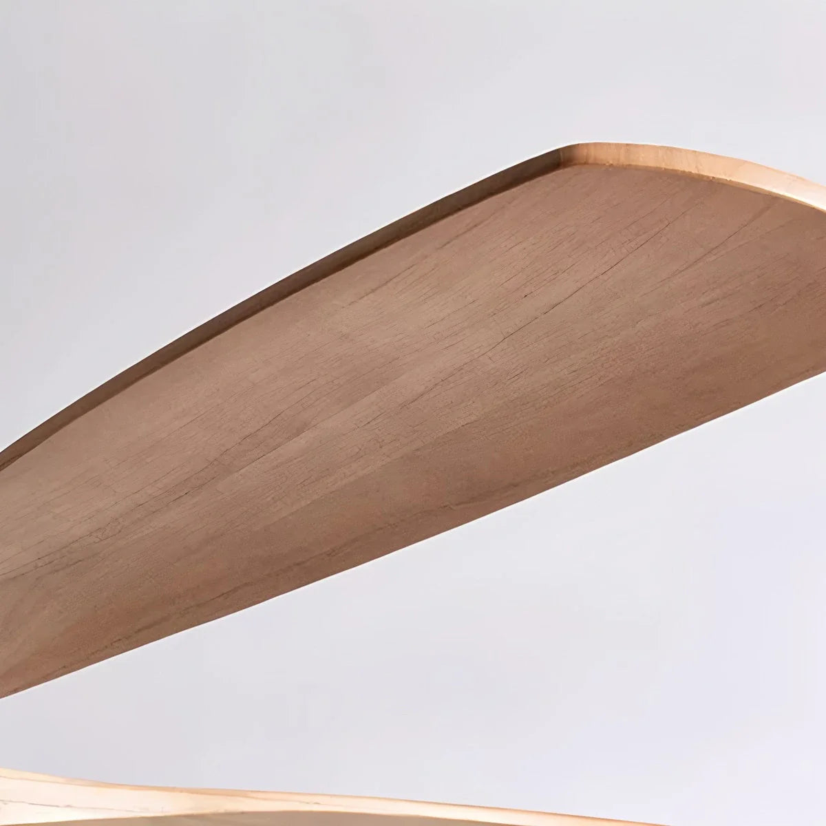 Living Room Minimalist Ceiling Fan with Light