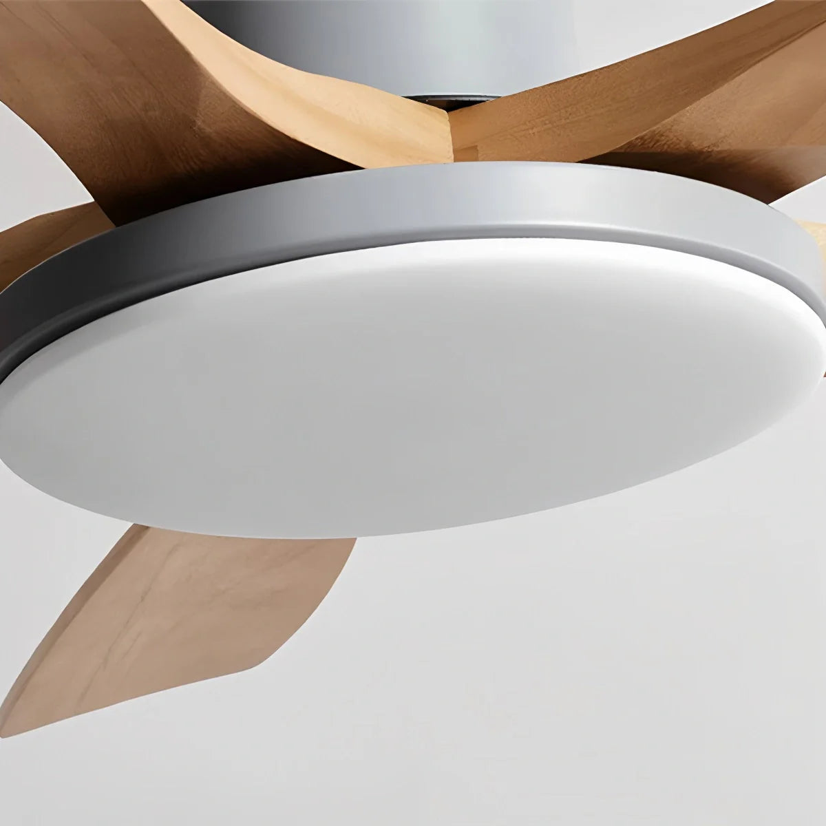 Living Room Minimalist Ceiling Fan with Light