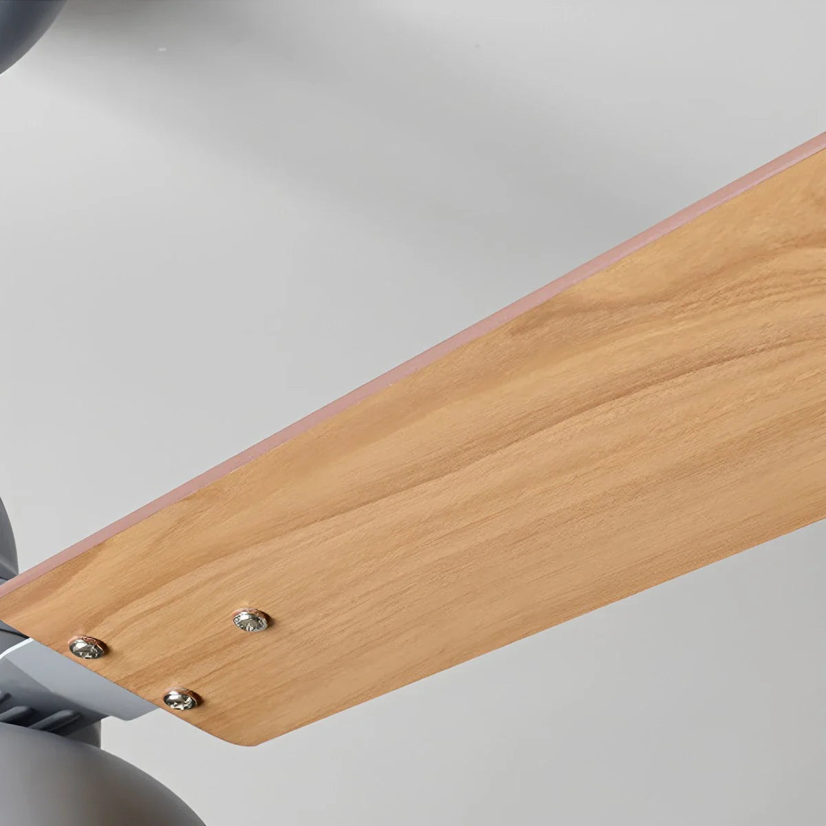 Modern Minimalist Three Leaf Ceiling Fan Light