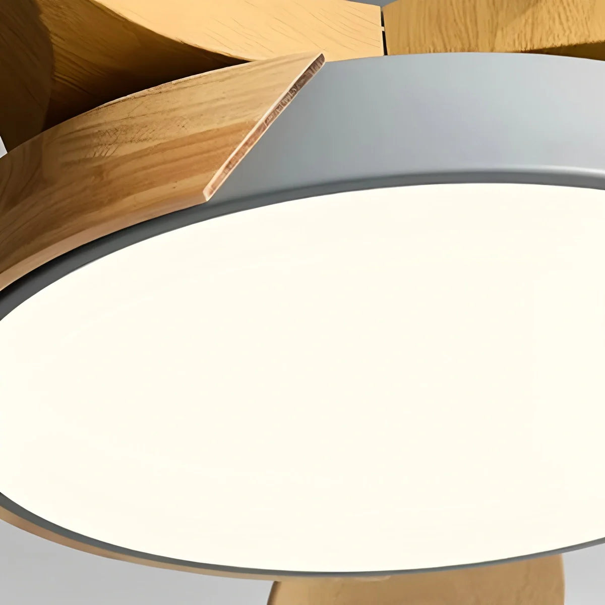 Nordic 5-Blade LED Ceiling Fan Light