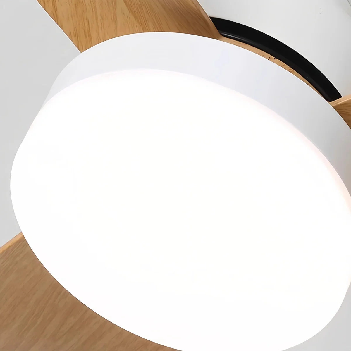 Small Propeller Ceiling Fan With Light