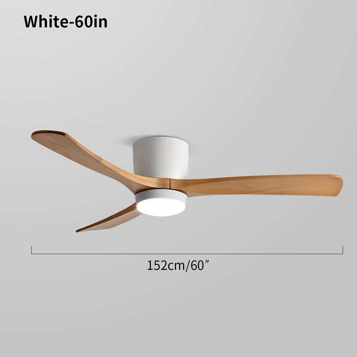 Large Low Profile Ceiling Fan with Light