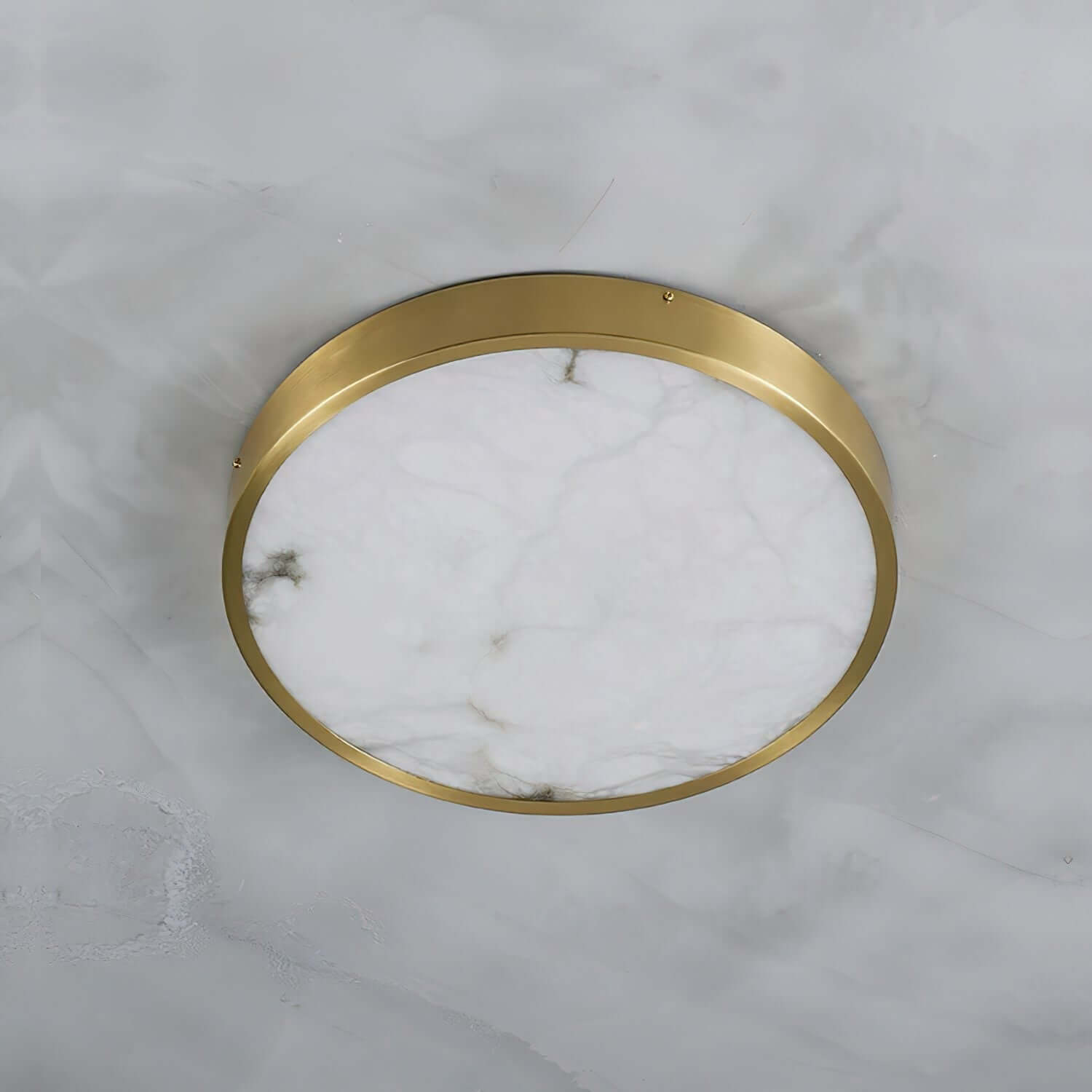 Camiro Ceiling Light