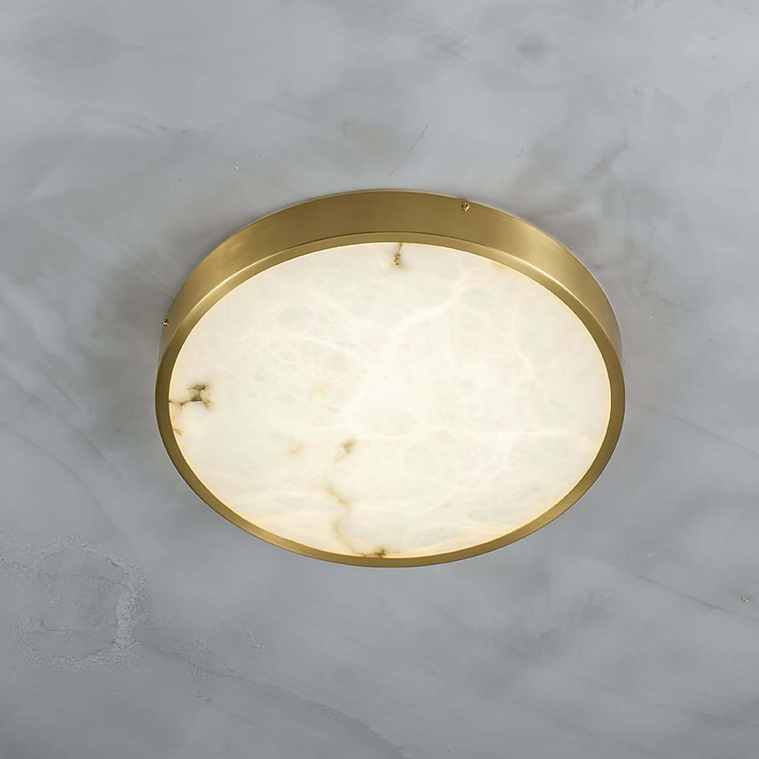 Camiro Ceiling Light