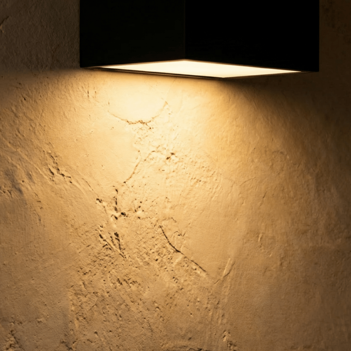 Evelyn Outdoor Wall Lamp