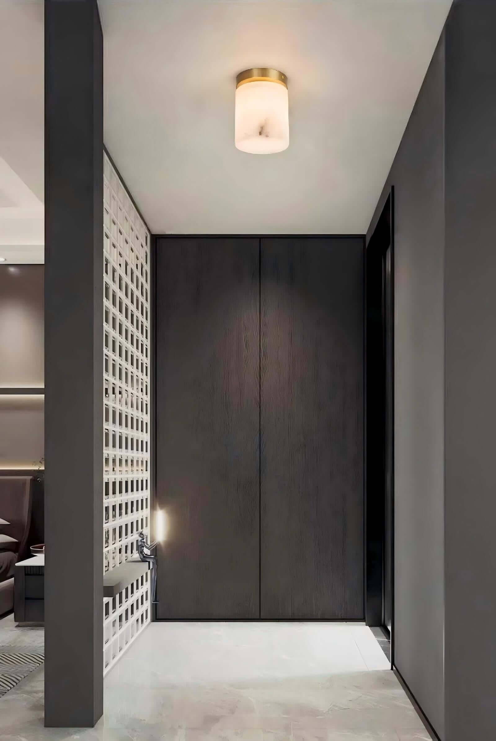 Virex Ceiling Light