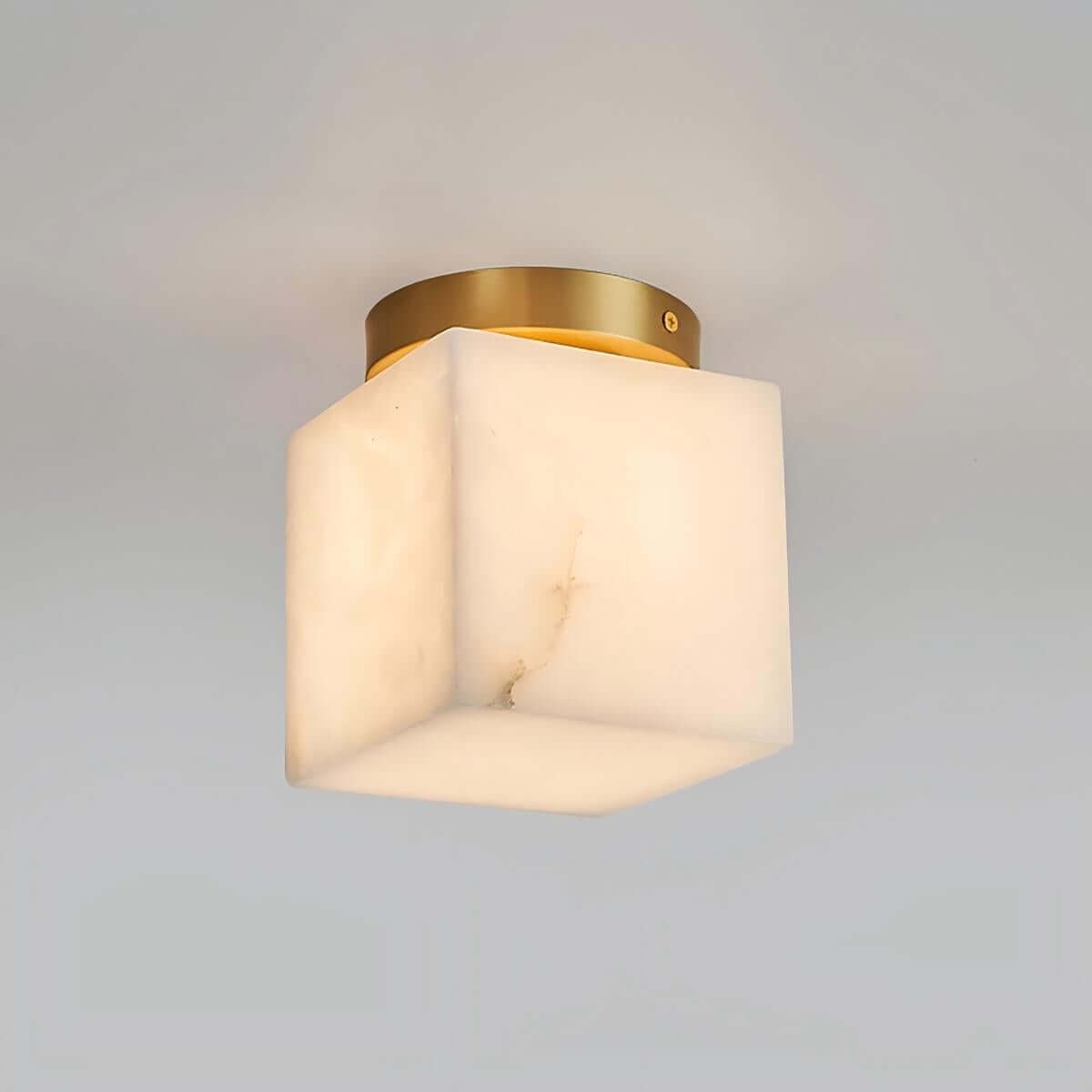 Virex Ceiling Light