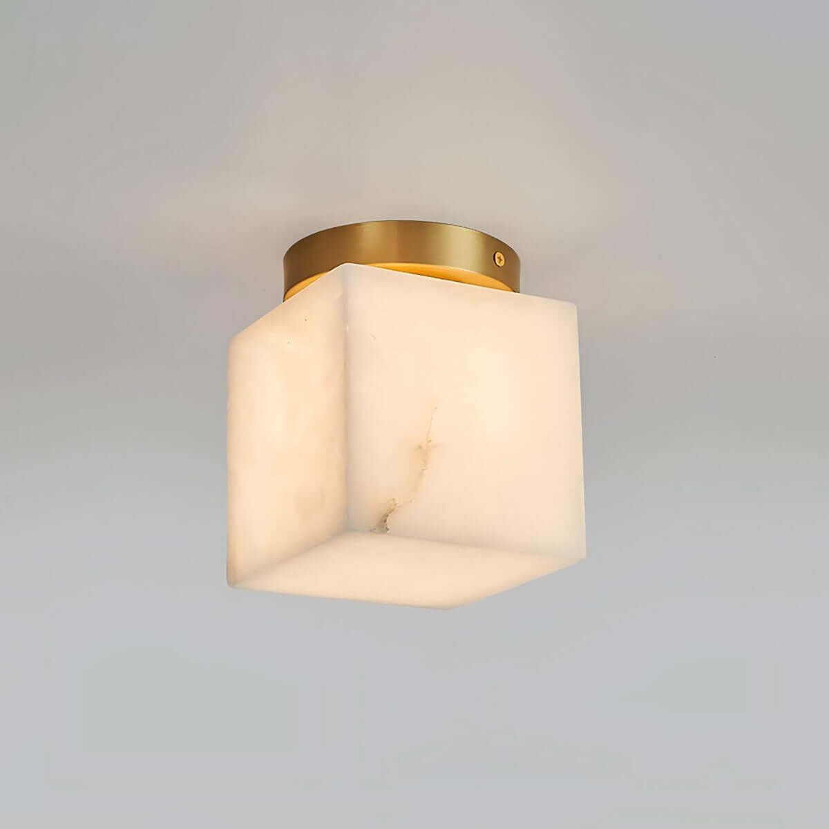 Virex Ceiling Light