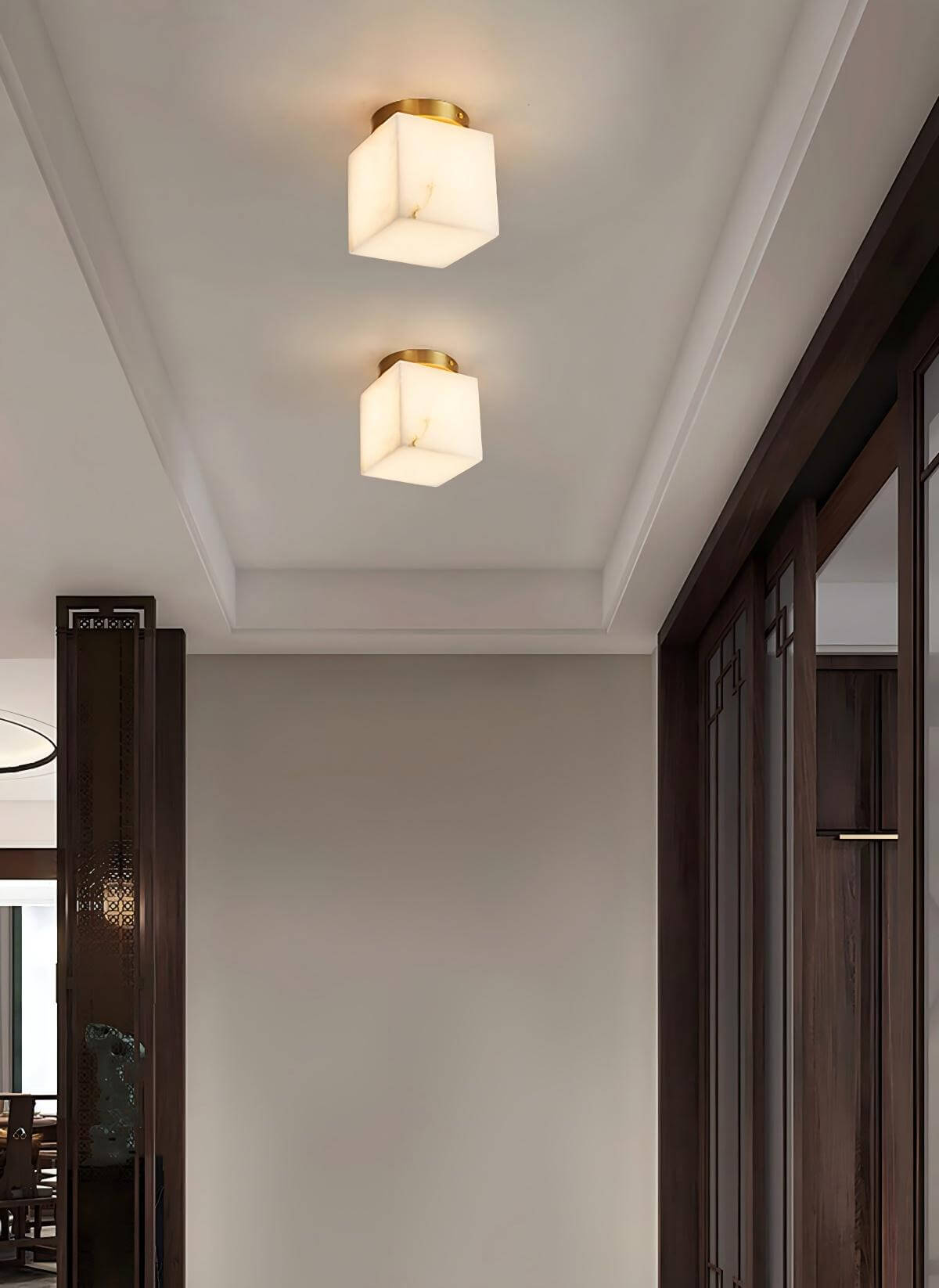 Virex Ceiling Light