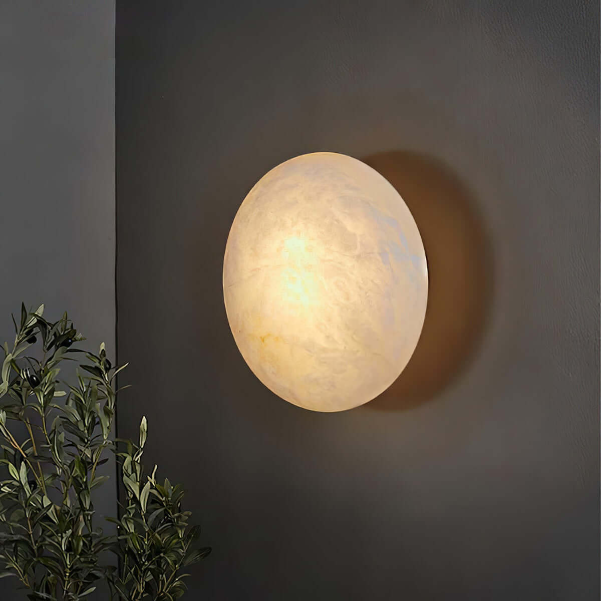 Zarion Ceiling Light