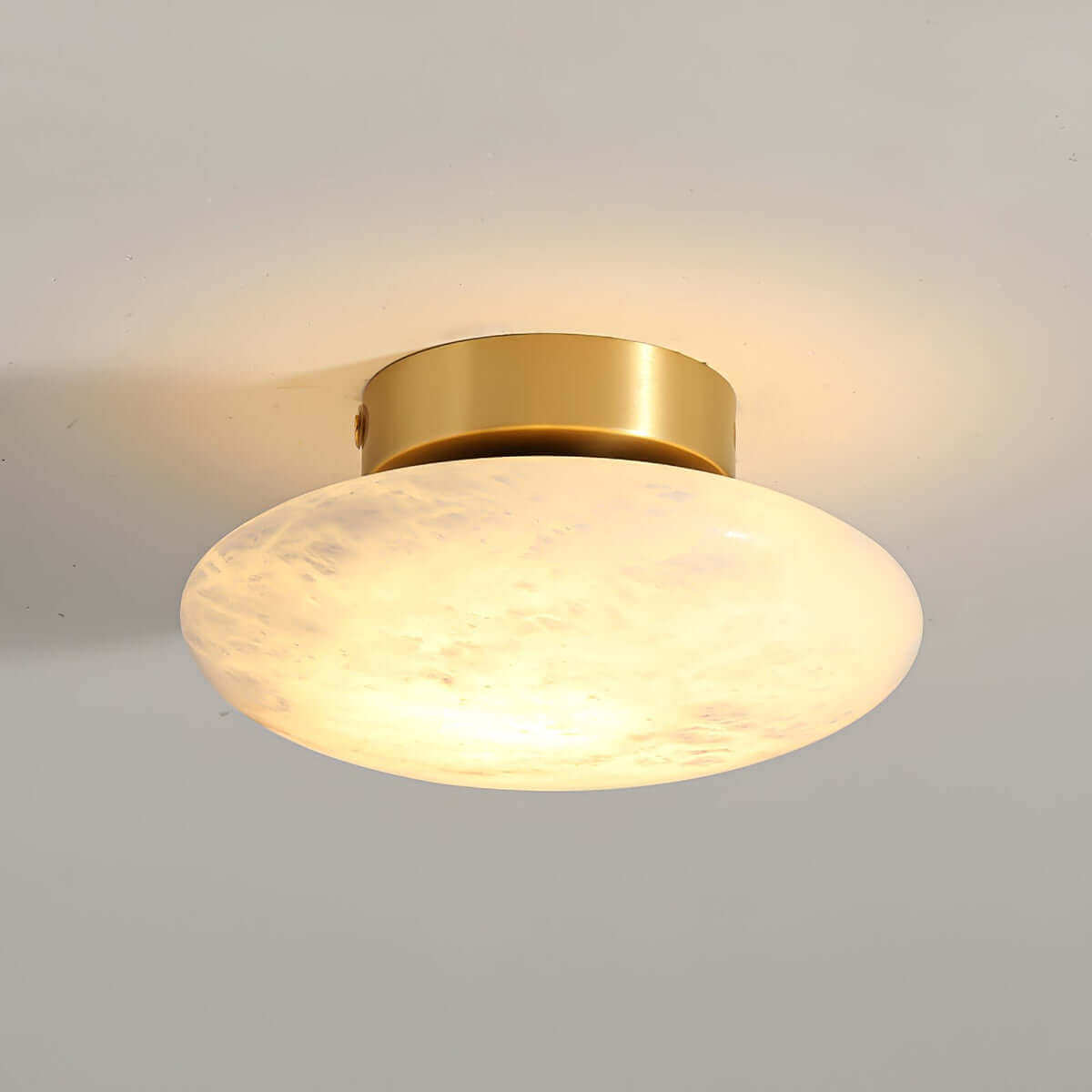 Zarion Ceiling Light